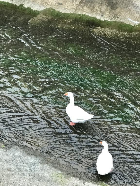 Le Due Porte Maiori Bagian luar foto