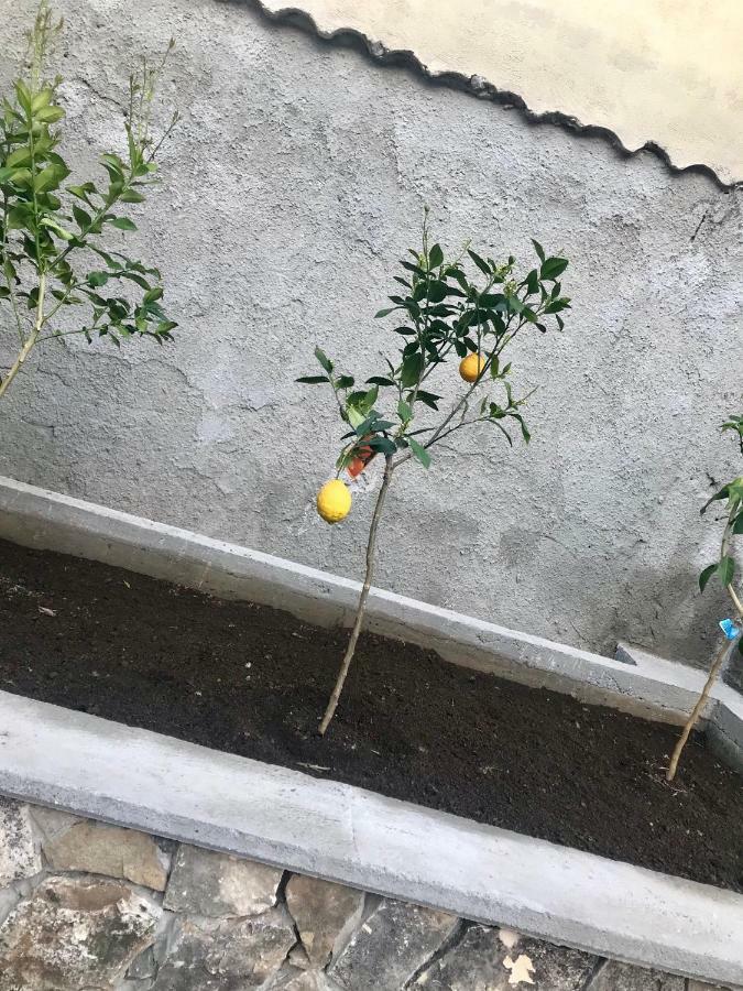 Le Due Porte Maiori Bagian luar foto